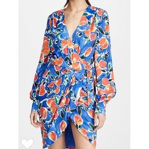 Jonathan Simkhai “citrus blooms” Aculpulco Dress